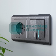 Выключатель двухклавишный с подсветкой WERKEL (графит рифленый) W1120104