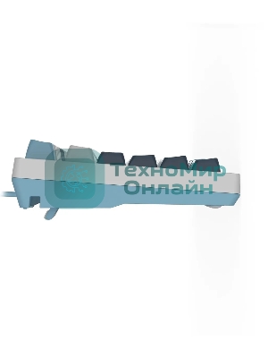 Клавиатура проводная A4Tech Fstyler FS300 (FS300 PANDA SNOWBOARDING), USB, белый/синий