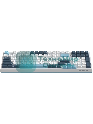 Клавиатура проводная A4Tech Fstyler FS300 (FS300 PANDA SNOWBOARDING), USB, белый/синий