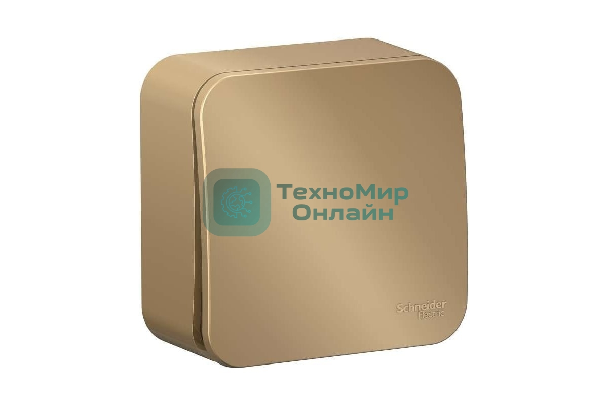 Выключатель 1-кл. ОП Blanca (сх.1) 10А 250 В изол. пласт. титан SchE