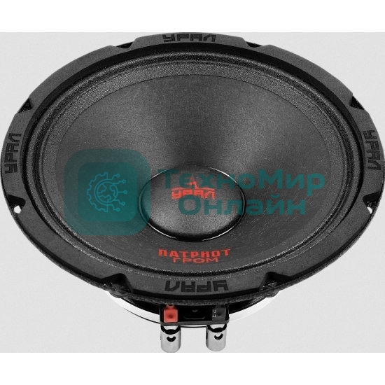 Колонки автомобильные Ural АС-ПТ165.2 ГРОМ (без решетки) 600Вт 99.7дБ 4Ом 16.5 см (6 1/2 дюйм) (ком.: 1 кол.) широкополосные однополосные