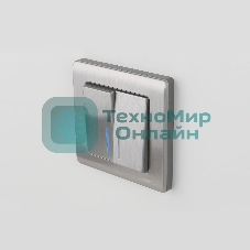 Выключатель двухклавишный с подсветкой WERKEL (глянцевый никель) W1120102