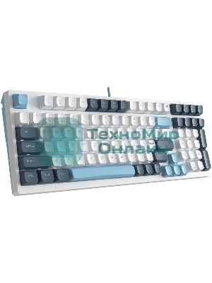 Клавиатура проводная A4Tech Fstyler FS300 (FS300 PANDA SNOWBOARDING), USB, белый/синий