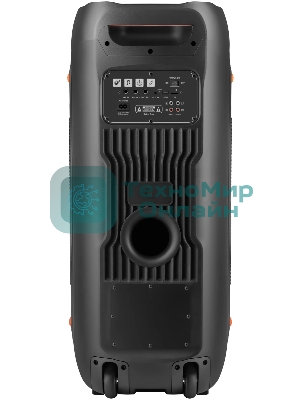 Портативная колонка Defender Boomer 200