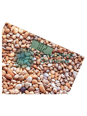 Персональные весы Sencor