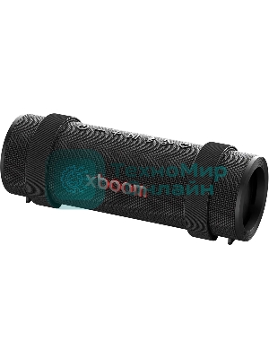 Портативная колонка LG Xboom GRAB черный 30W 1.1 BT