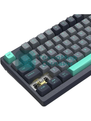 Клавиатура проводная A4Tech Fstyler FS300 механическая черный/серый USB for gamer LED (FS300 PANDA ROCK)