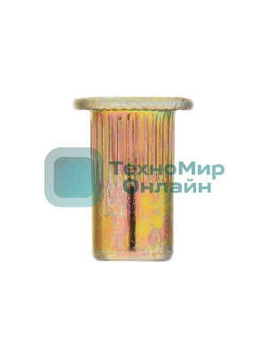 Заклепки резьбовые Denzel стальные, оцинкованные, М5, пластиковый кейс, 100 шт.