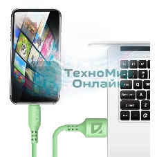 Кабель Defender F207, USB 2.0 (AM) - Type-C, 1 м, 2.4А, силиконовая оплетка, зеленый.