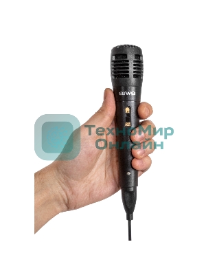 Минисистемы AIWA CAS-910 черный