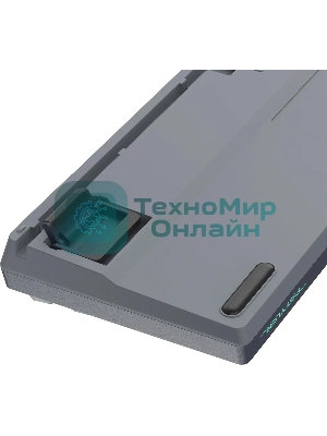 Клавиатура проводная A4Tech Fstyler FS300 механическая черный/серый USB for gamer LED (FS300 PANDA ROCK)