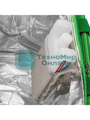 Сумка-холодильник Palisad Camping 32x25x24 см, с двумя охлаждающими блоками