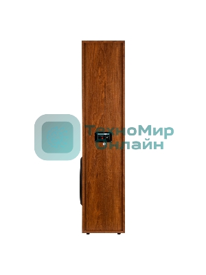 Акустическая система ELTRONIC (30-58) HOME SOUND - колонка 10