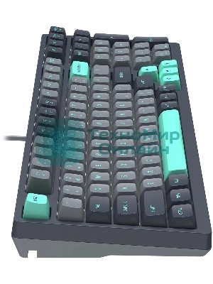 Клавиатура проводная A4Tech Fstyler FS300 механическая черный/серый USB for gamer LED (FS300 PANDA ROCK)