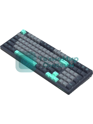 Клавиатура проводная A4Tech Fstyler FS300 механическая черный/серый USB for gamer LED (FS300 PANDA ROCK)