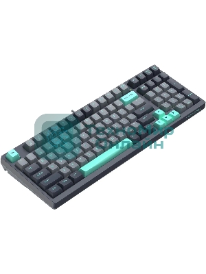 Клавиатура проводная A4Tech Fstyler FS300 механическая черный/серый USB for gamer LED (FS300 PANDA ROCK)