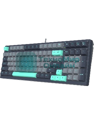 Клавиатура проводная A4Tech Fstyler FS300 механическая черный/серый USB for gamer LED (FS300 PANDA ROCK)