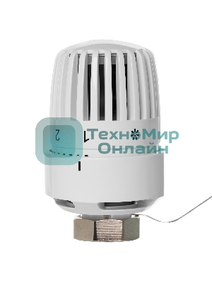 Термоголовка жидкостная Royal Thermo BASIC с выносным датчиком М30х1,5