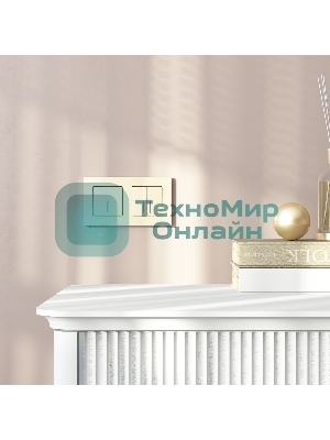 Выключатель двухклавишный с подсветкой WERKEL (шампань) W1120111