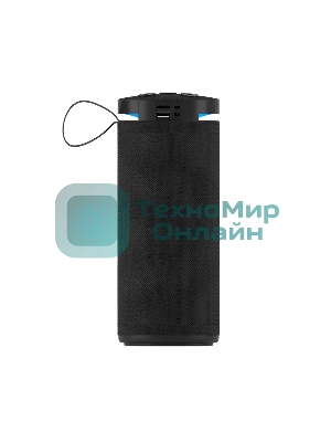 Портативная колонка SOUNDMAX SM-PS5015B черный