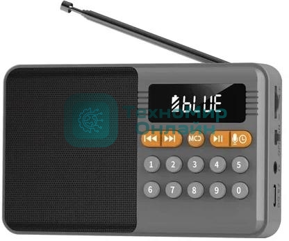 Радиоприемник PERFEO (PF_D0576) ТУРИСТ, серый