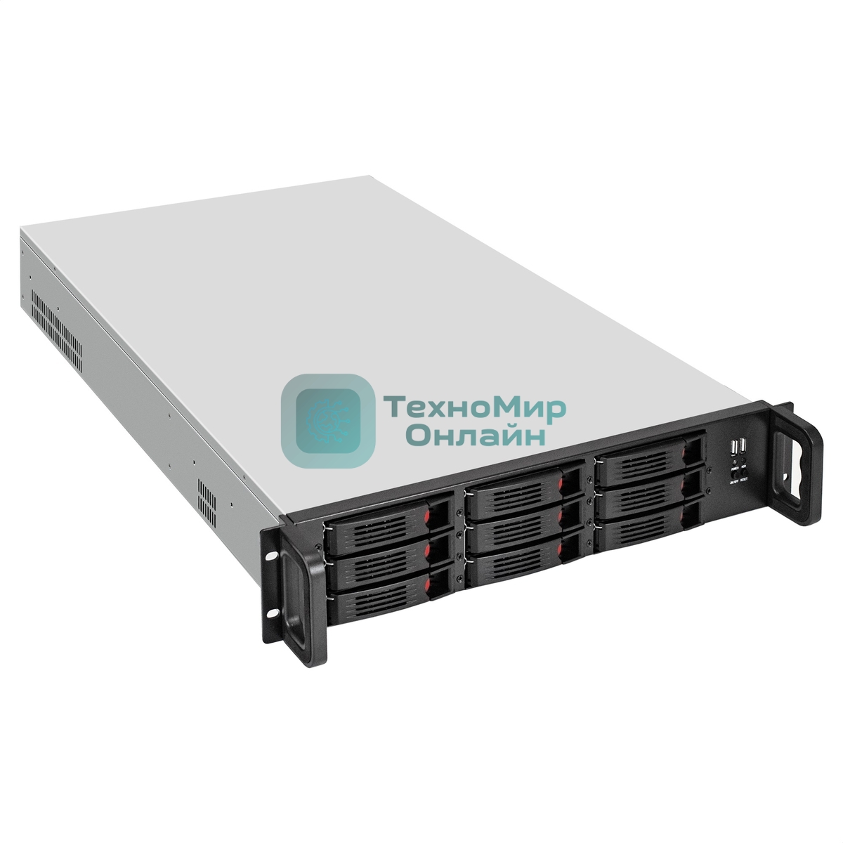 Серверный корпус ExeGate Pro 2U650-HS09 (RM 19