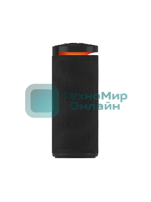 Портативная колонка SOUNDMAX SM-PS5015B черный