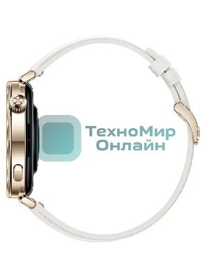Умные часы Huawei GT 5 JNA-B19, белые