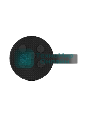 Портативная колонка SOUNDMAX SM-PS5015B черный