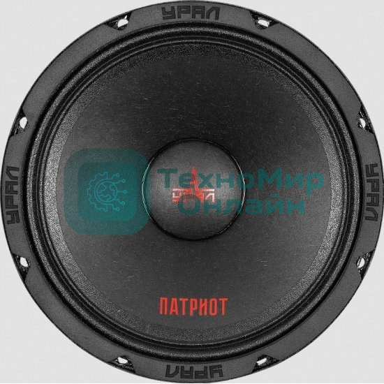 Колонки автомобильные Ural ПАТРИОТ АС-ПТ165.2, (без решетки), 300Вт, 98.5дБ, 4Ом, 16.5 см, (6 1/2 дюйм), 2 шт, широкополосные, однополосные