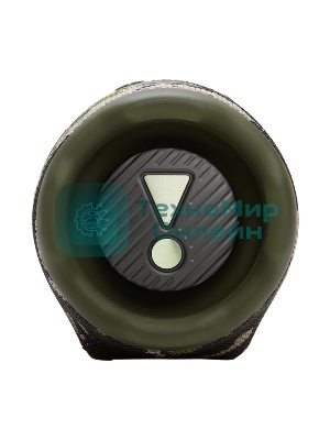 Портативная колонка JBL JBLCHARGE6SQUAD камуфляж