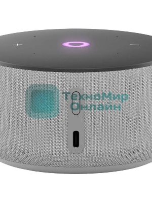 Умная колонка Яндекс Станция Мини 3, 12Вт, компактная, 1 динамик, часы, управление умным домом, Wi-Fi, Bluetooth 5.0, Алиса, серый