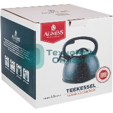 Чайник для плиты AGNESS 907-064 нерж. 2,5 л