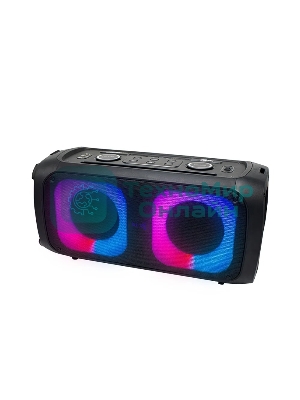 Портативная колонка Ritmix SP-910B черный