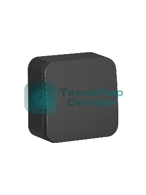 Выключатель 1-кл. ОП Blanca (сх.1) 10А 250 В изол. пласт. антрацит SchE