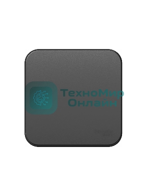 Выключатель 1-кл. ОП Blanca (сх.1) 10А 250 В изол. пласт. антрацит SchE