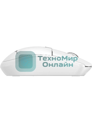 Комплект клавиатура+мышь Acer OCC401 беспроводной, USB, 1600 DPI, белый