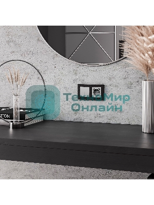 Рамка на 2 поста (черный) W0022408