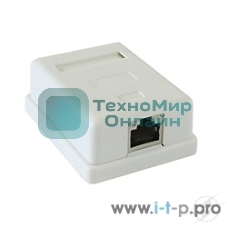 Розетка GEMBIRD NAS212 RJ-45 кат.STP 5e внешняя экранированная 1 порт, 110/Krone