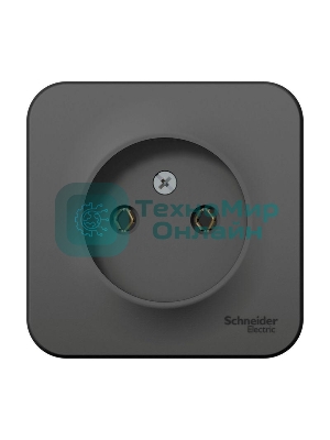 Розетка б/з без шторок 16А, 250 В, изолир. пластина SE Blanca наруж Антрацит