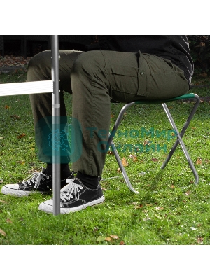 Стул складной Palisad Camping 35х30х36 см