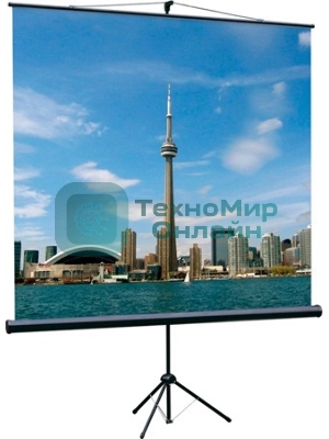 Экран на треноге Lumien 200x200 см Eco View LEV-100103 1:1 напольный рулонный