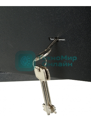 Сейф мебельный Cactus CS-SF-K18 170x260x230 мм ключевой
