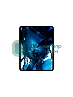 Планшет Apple iPad Pro 2024 A2836 11