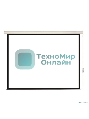 Экран с электроприводом Lumien Eco Control 229x305 см (раб. область 221х297 см) Matte White черная кайма по периметру 4:3