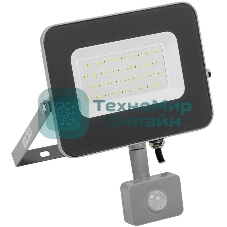 Прожектор IEK LPDO702-30-K03 СДО 07-30Д светодиодный серый с ДД IP44 IEK