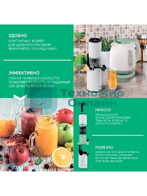Соковыжималка шнековая Scarlett SC-JE50S59 белый