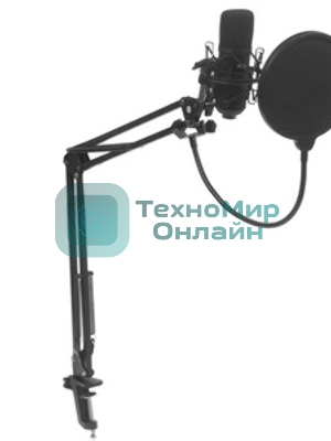 Микрофон Ritmix RDM-180 черный