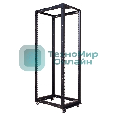 Стойка двухрамная Lanmaster TWT-RACK2-42U-ADJ 42U 480ммX560мм 1000кг черный