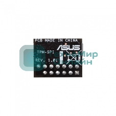 Модуль TPM-SPI
